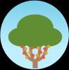a tree icon